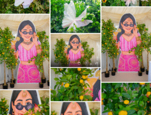 Wedding Album choose by Visionary Photography